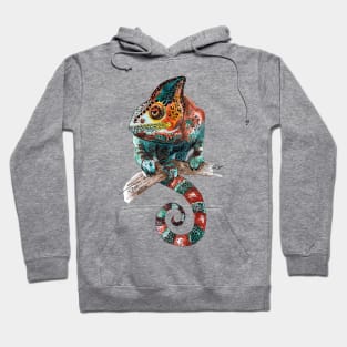 Chameleon Hoodie